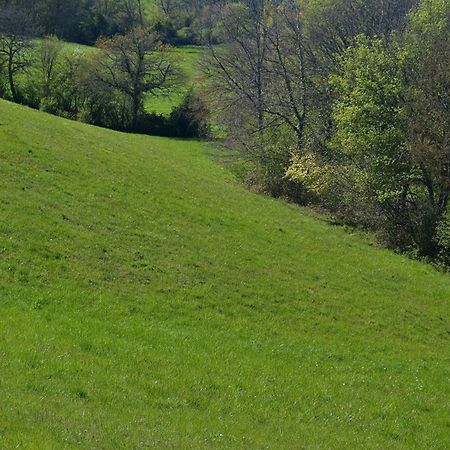Chambre D'Hote Au Domaine Terre De Chenes Saint-Paul-de-Baise Exteriér fotografie