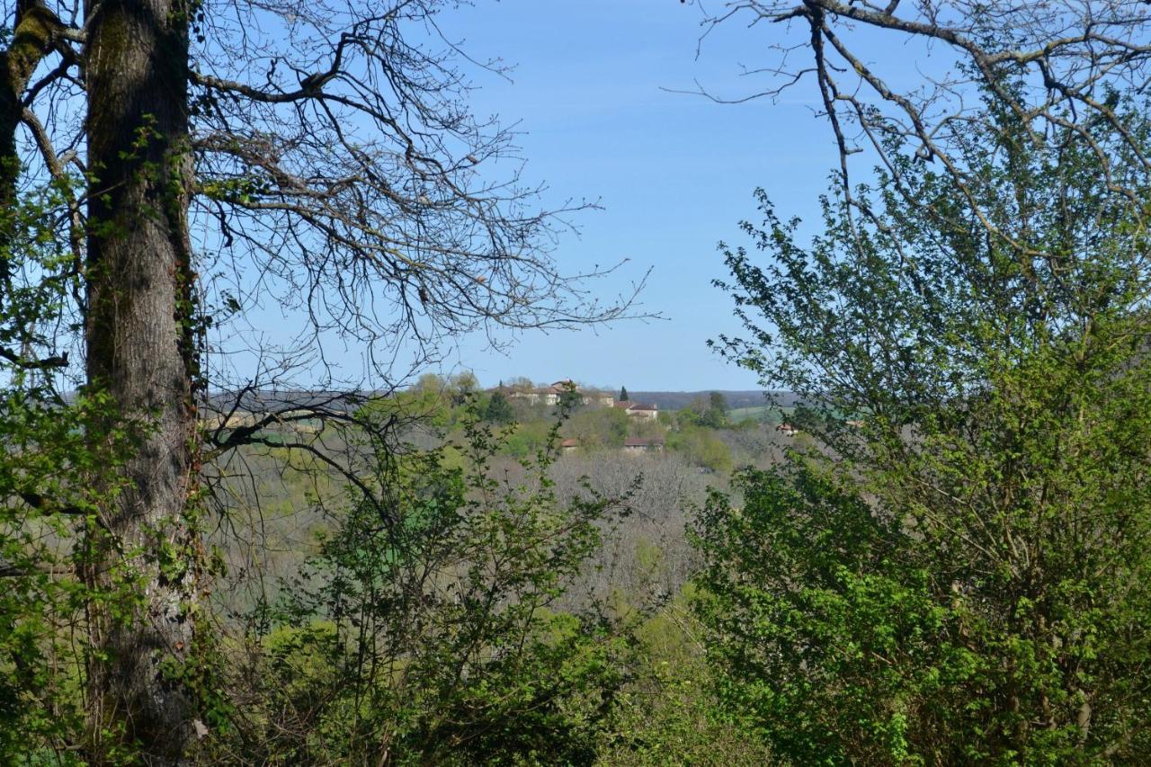 Chambre D'Hote Au Domaine Terre De Chenes Saint-Paul-de-Baise Exteriér fotografie