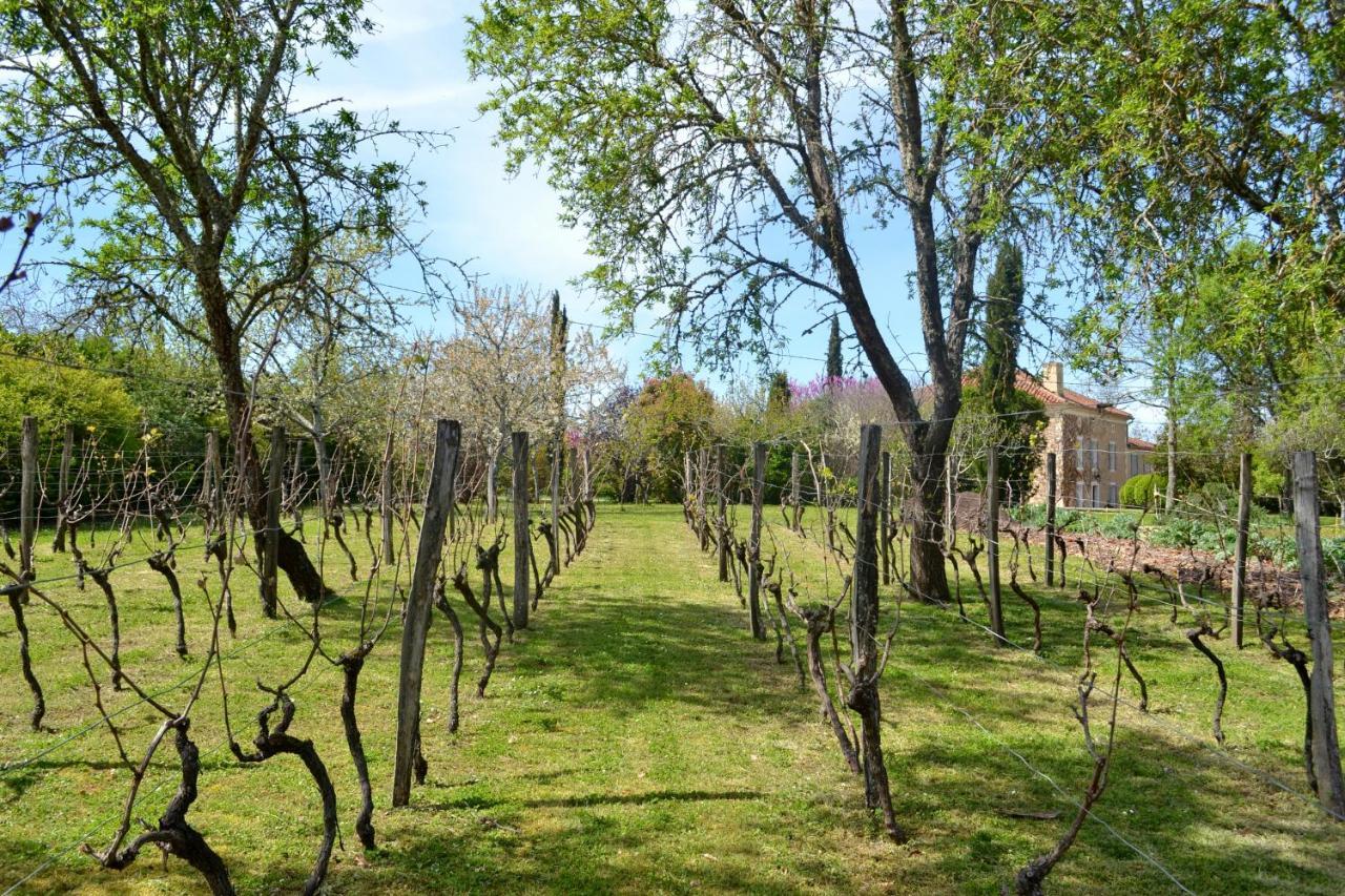 Chambre D'Hote Au Domaine Terre De Chenes Saint-Paul-de-Baise Exteriér fotografie
