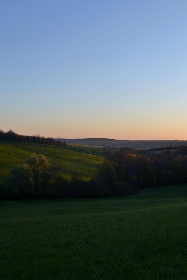 Chambre D'Hote Au Domaine Terre De Chenes Saint-Paul-de-Baise Exteriér fotografie
