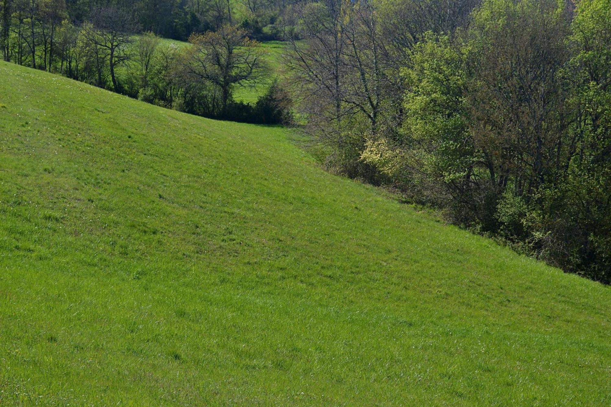 Chambre D'Hote Au Domaine Terre De Chenes Saint-Paul-de-Baise Exteriér fotografie
