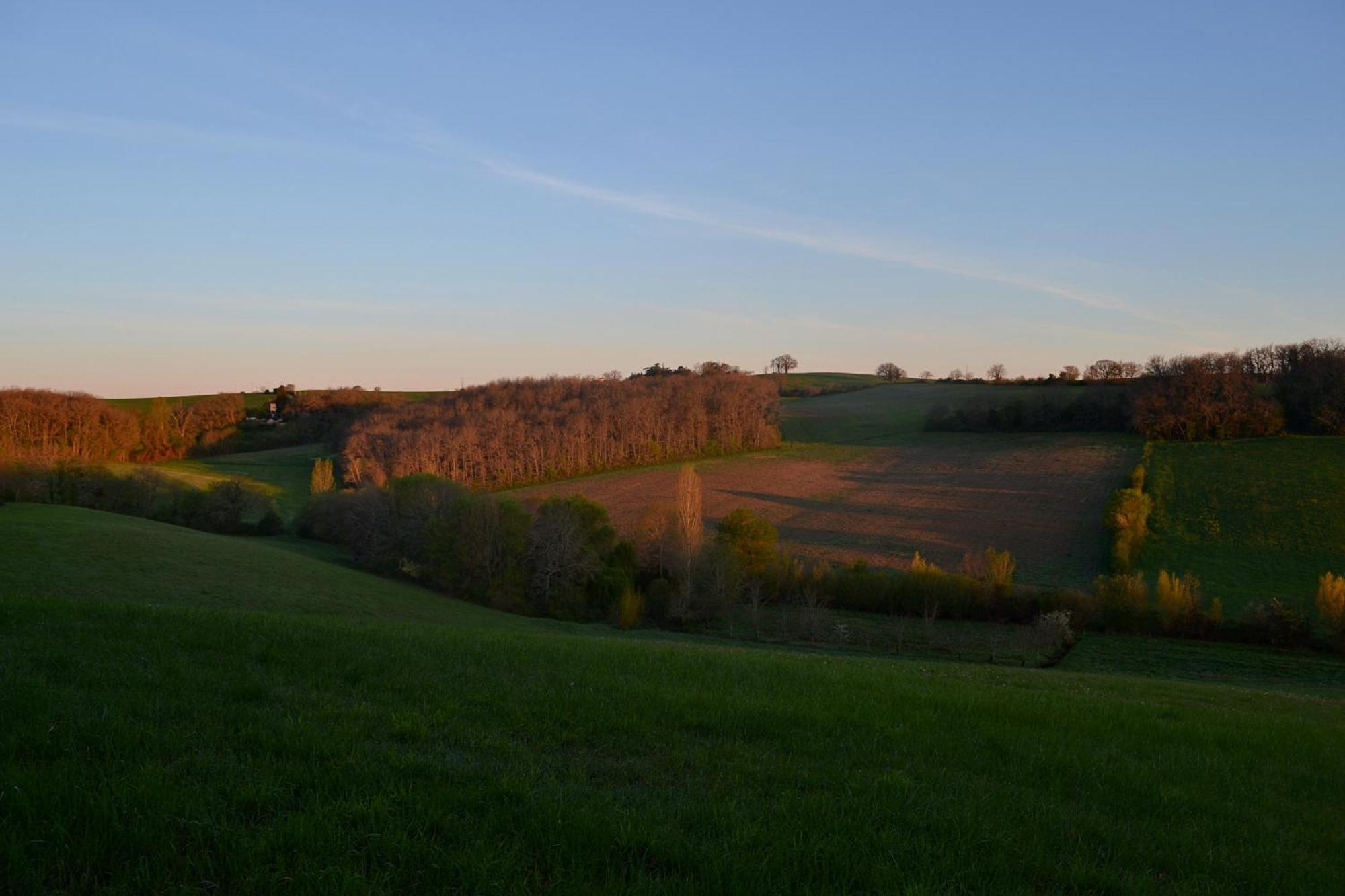 Chambre D'Hote Au Domaine Terre De Chenes Saint-Paul-de-Baise Exteriér fotografie